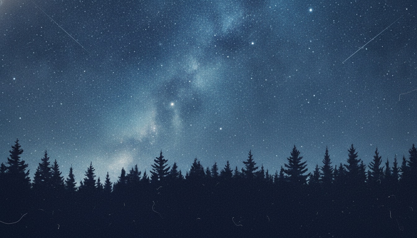A star-filled night sky over a silhouetted pine ridge in cool silver and blue tones