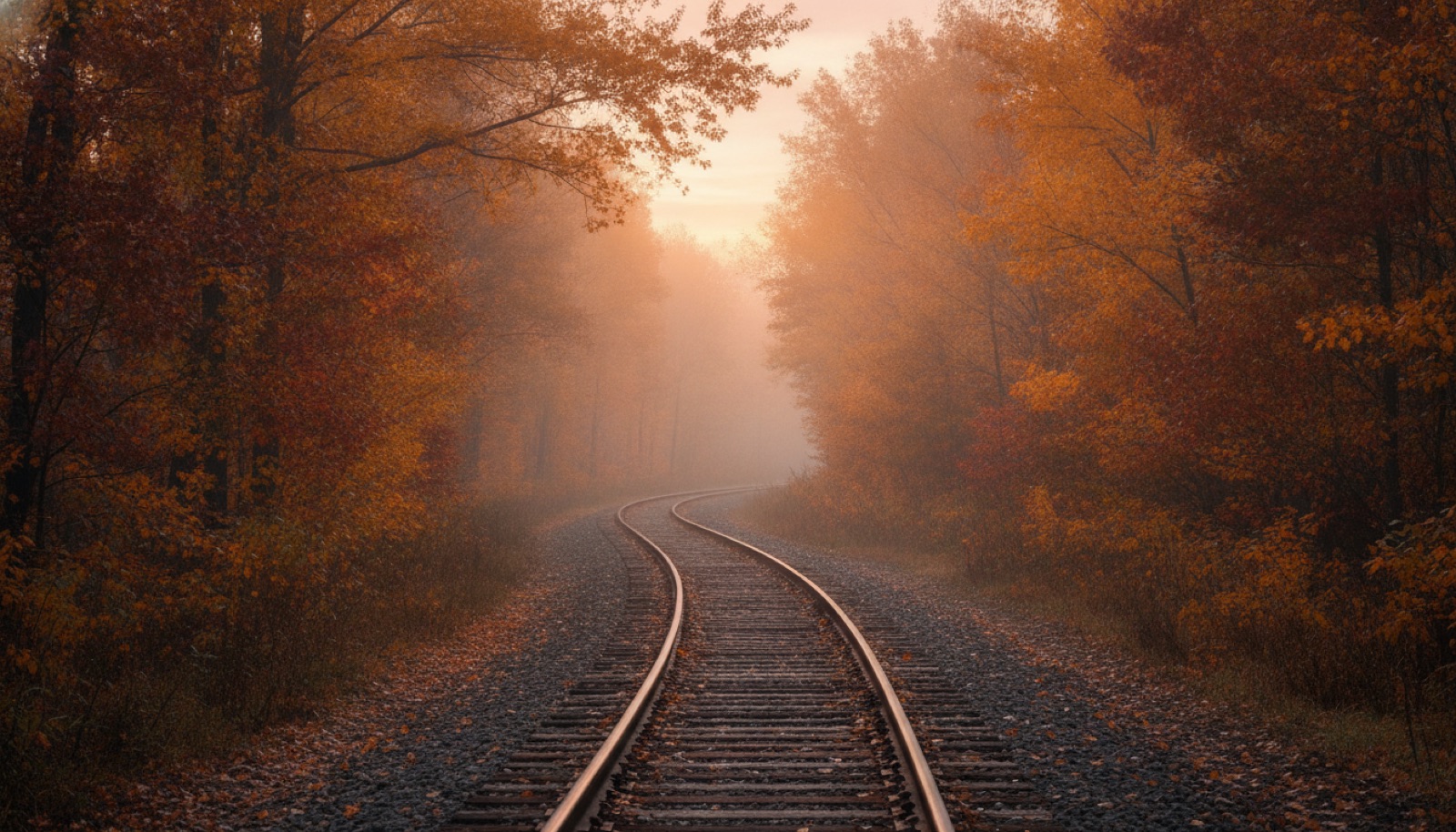 A misty autumn railroad line curving through gold and rust colored forest at dawn