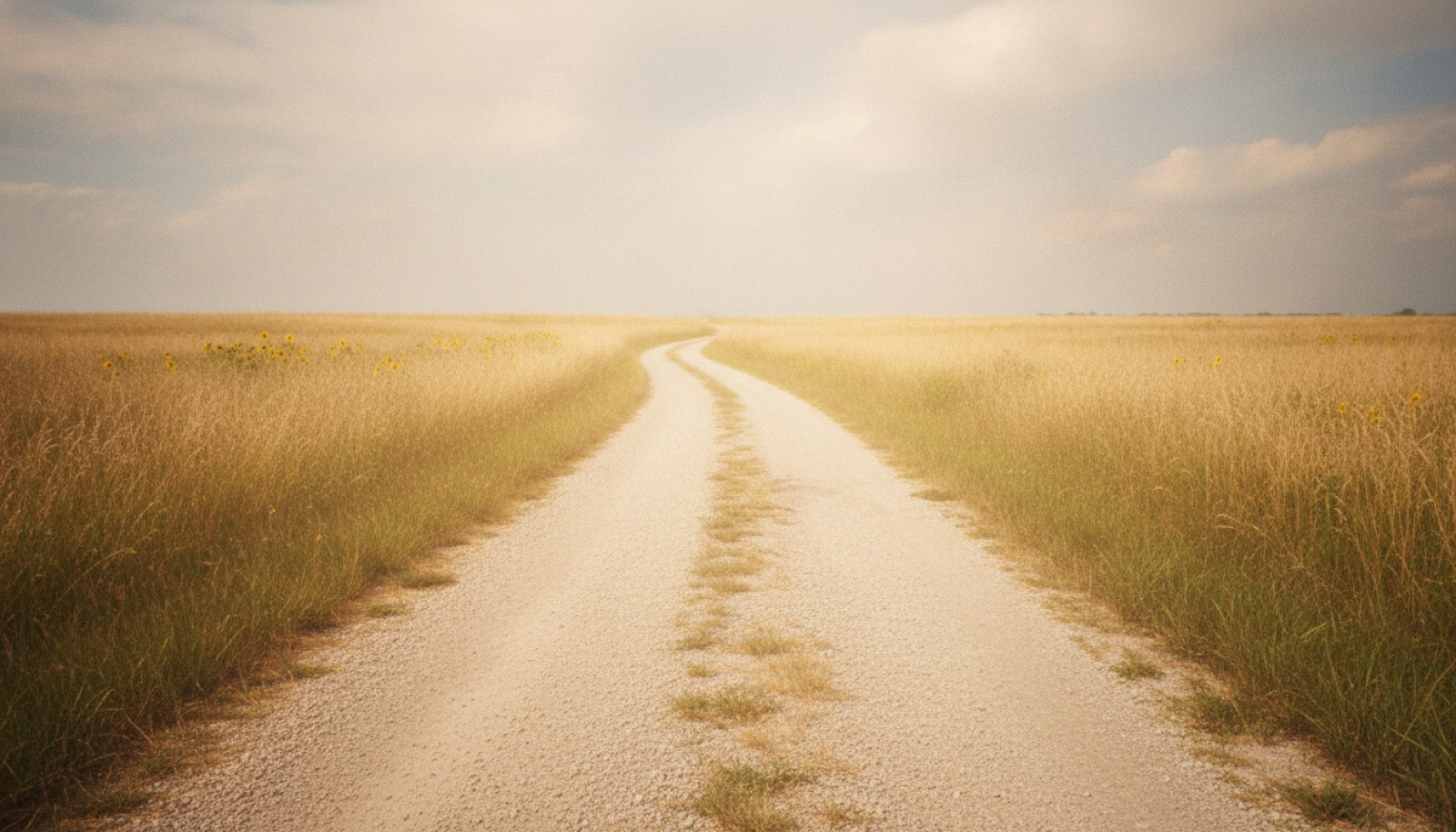 A hazy, overexposed photograph of a gravel backroad cutting through tall grass under a heavy summer sky