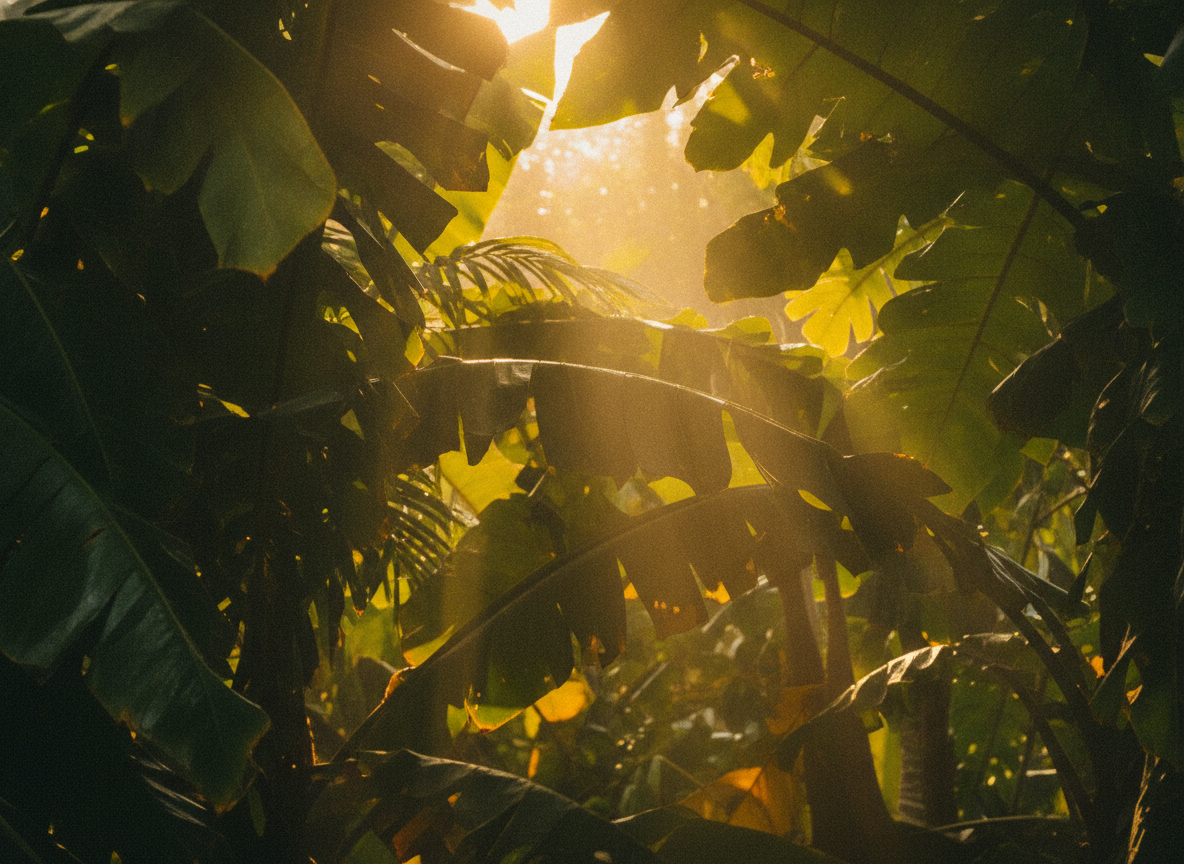 Sunlight breaking through lush green tropical foliage in warm golden light
